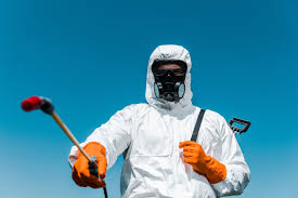 Best Pest Prevention Services  in Cloverleaf, TX